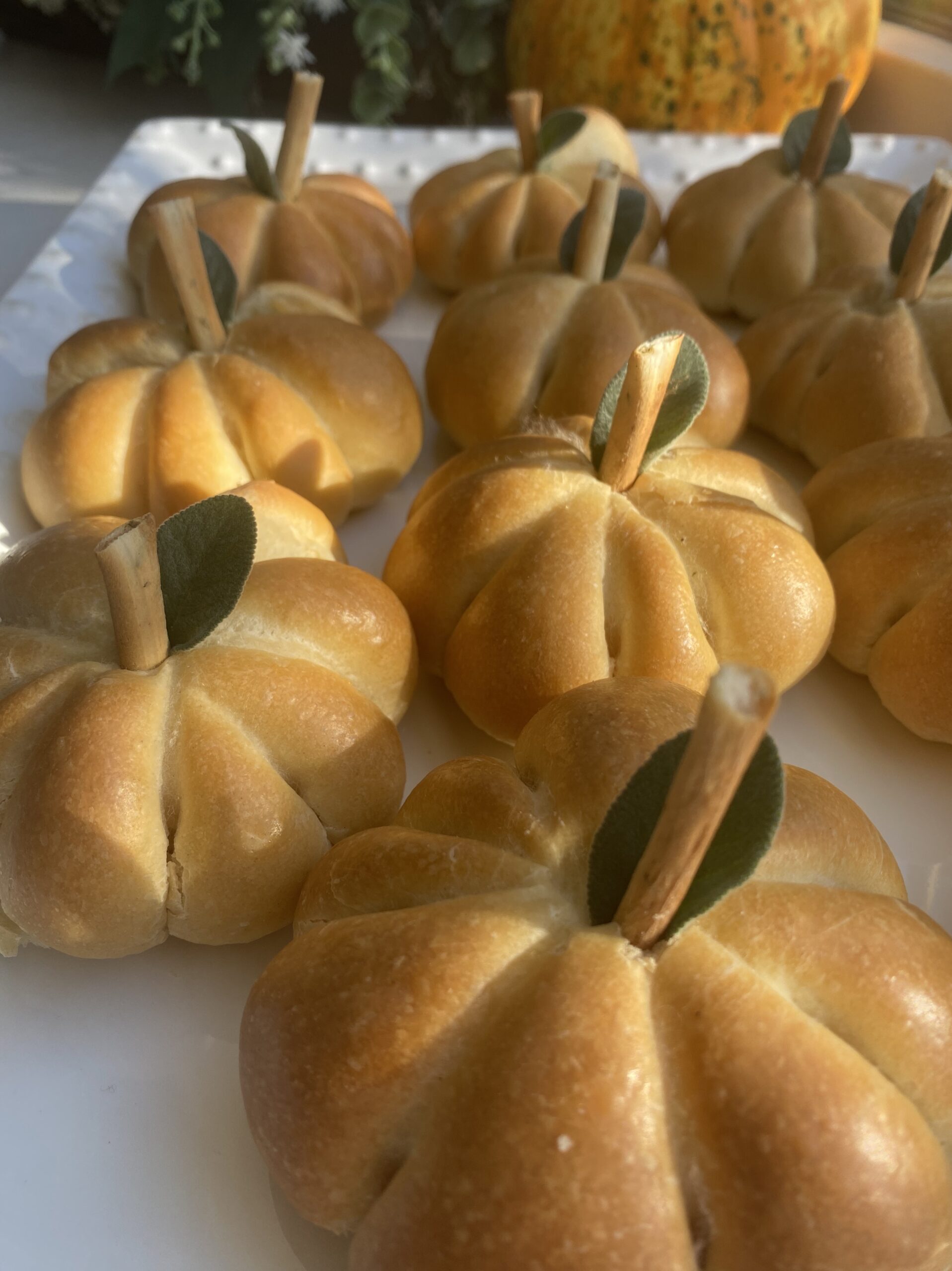 Pumpkin Shaped Dinner Rolls